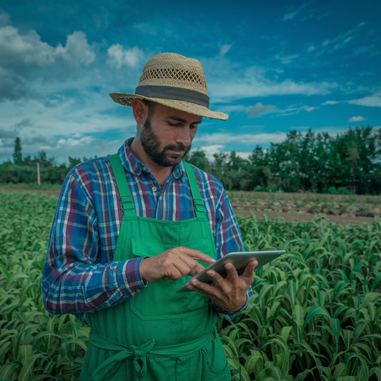 Cuaderno de Campo Digital: claves, fechas y obligaciones