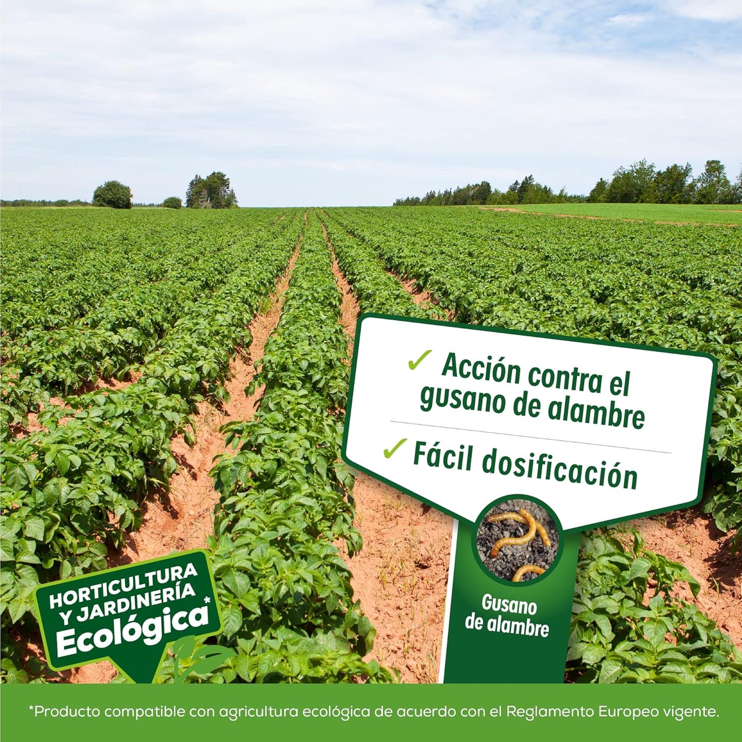 Solabiol Insecticida de Suelo para Huerto - Apto para Agricultura Ecológica