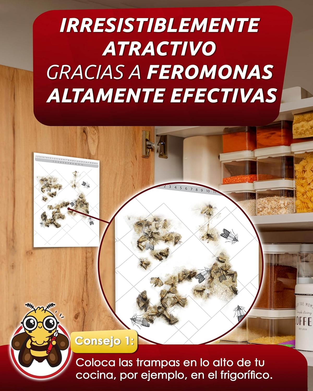 PIC Trampa para Polillas Alimentarias - Pack de 12 Trampas