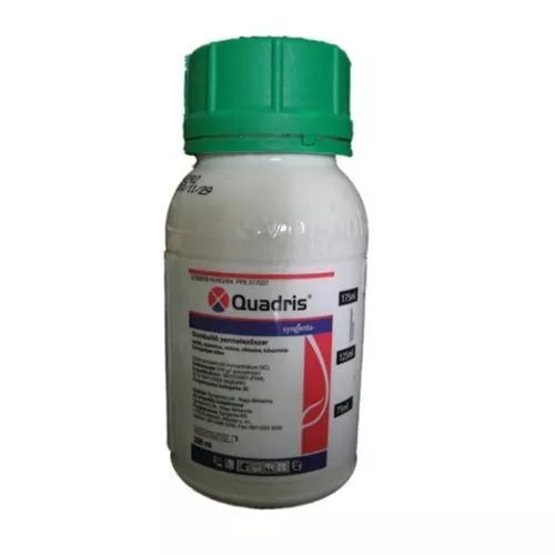 Quadris 25 SC - Fungicida Protector con Azoxistrobina 25%, 375 ml
