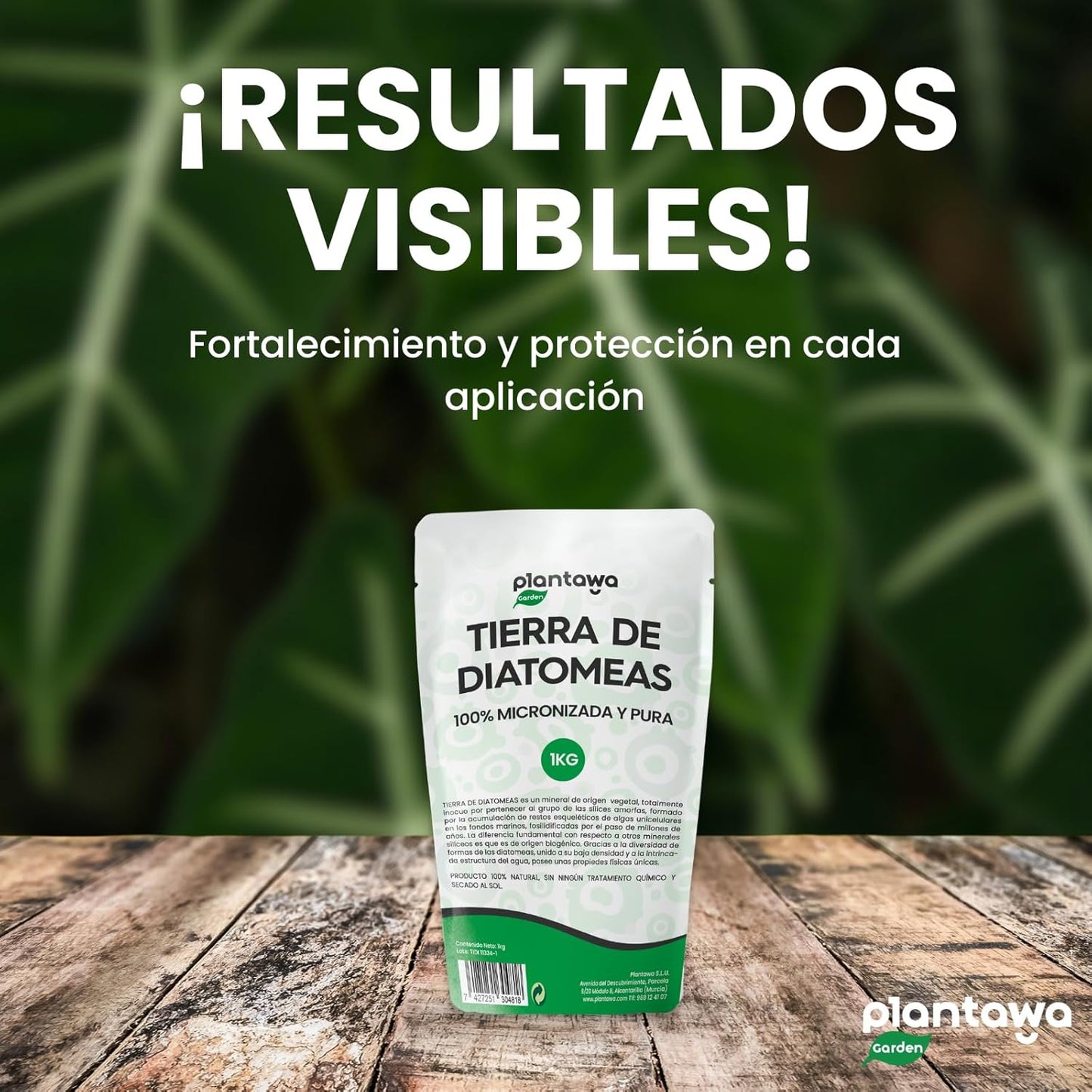 Tierra de Diatomeas Micronizada 1kg - Control de Plagas 100% Natural