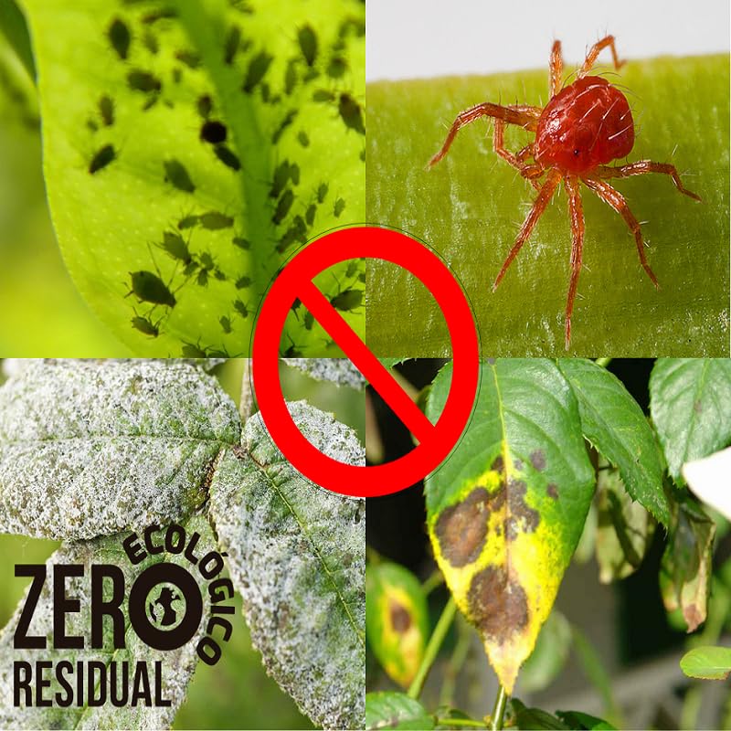 Purín de Ortiga 1L - Acaricida, Insecticida y Fungicida Ecológico para Plantas