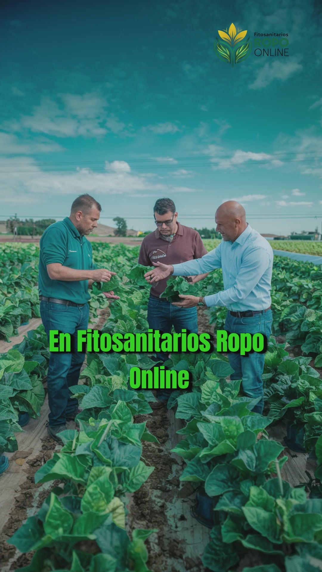 Cargar video: 