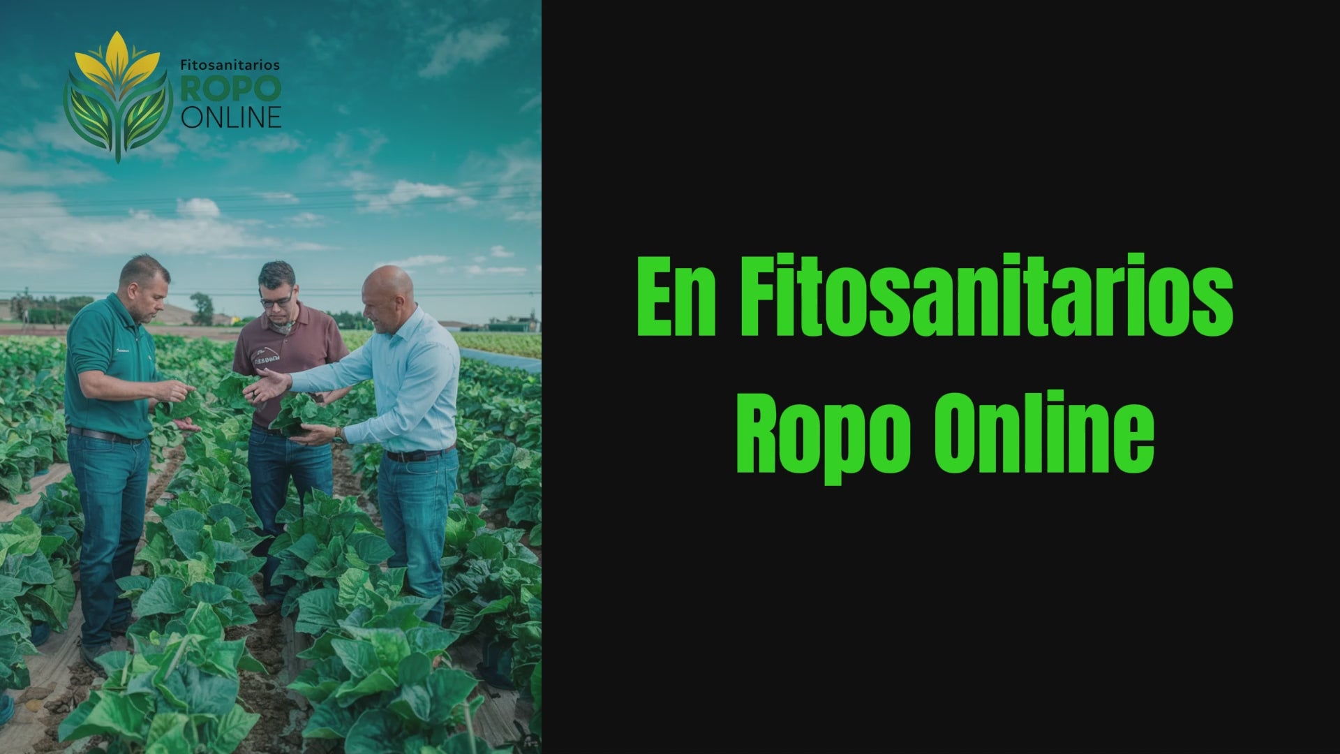 Cargar video: 