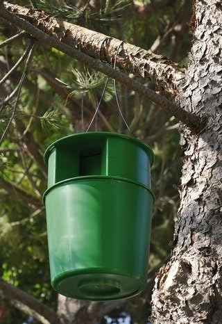 Procerex® Cubo Trampa Procesionaria del Pino con Feromona Incluida